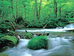 �y�G�[�XJTB�E�������s�z�X�c�A�[�E�X�̗��فE�z�e���\��@